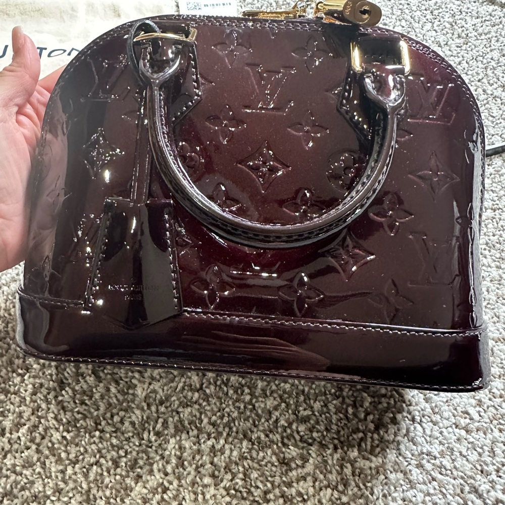 Louis Vuitton Dark Burgundy Mini Bag
